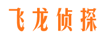 德江侦探公司